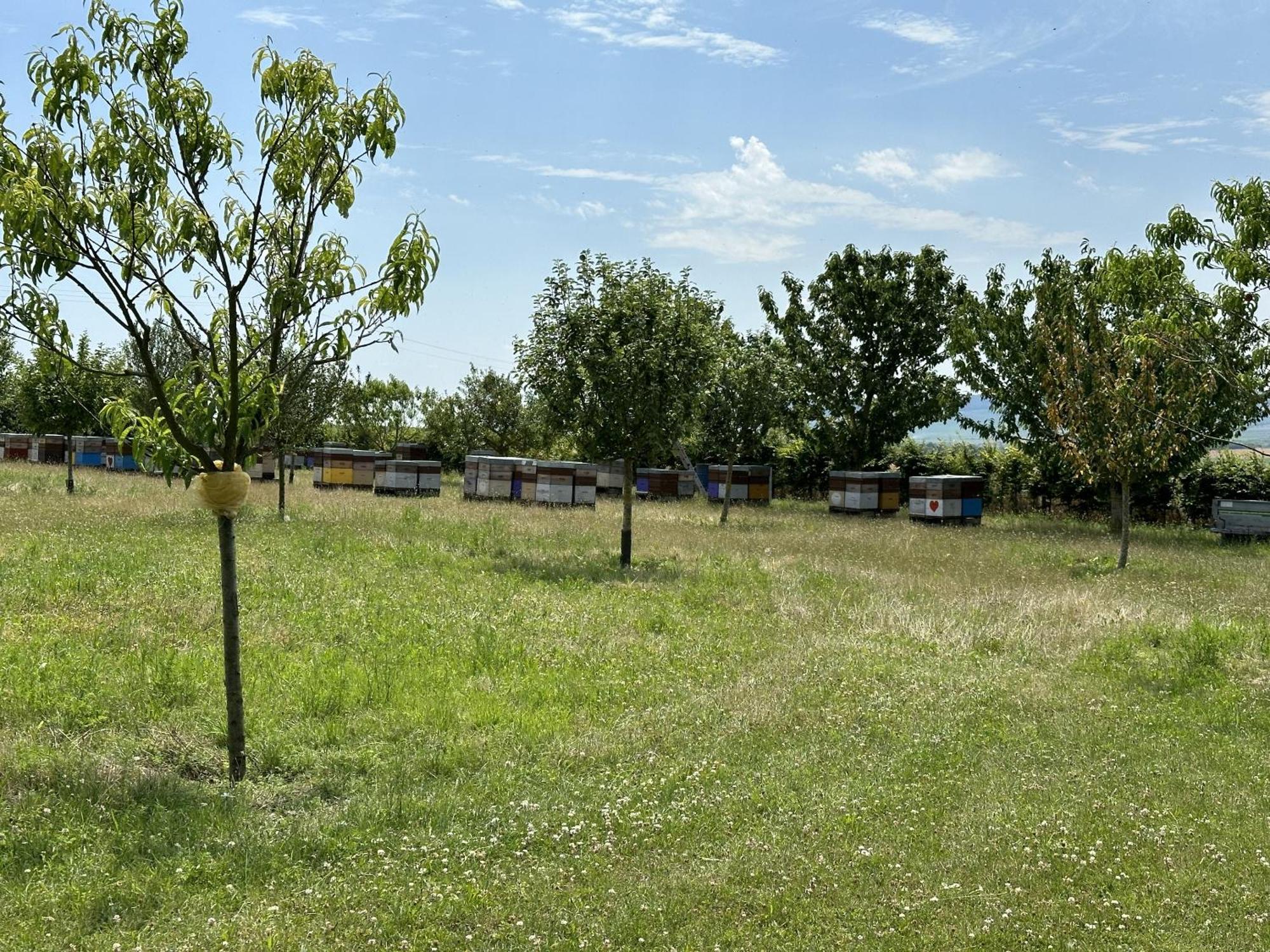 Villa Happy Cernay-les-Reims Exterior foto