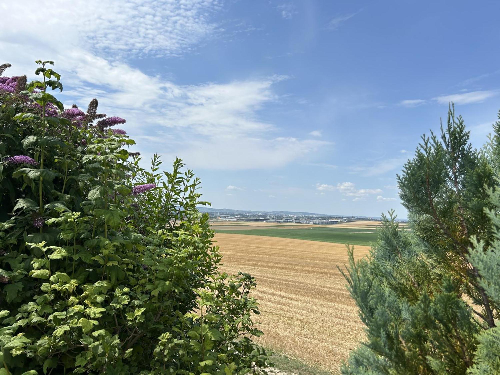 Villa Happy Cernay-les-Reims Exterior foto